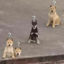 咖啡要去冰的小店