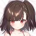 二次元日贩版家