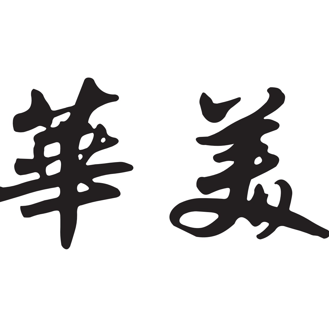 华美羽毛球官方企业店