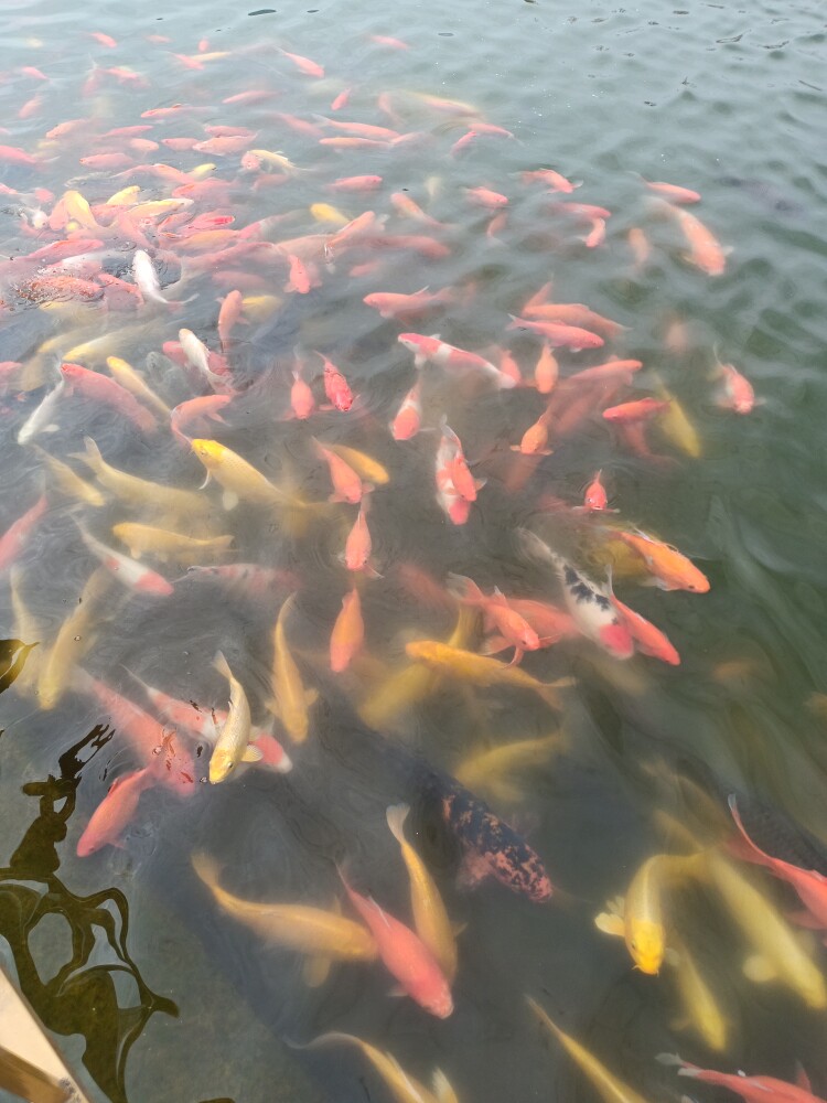 一凡科技照明