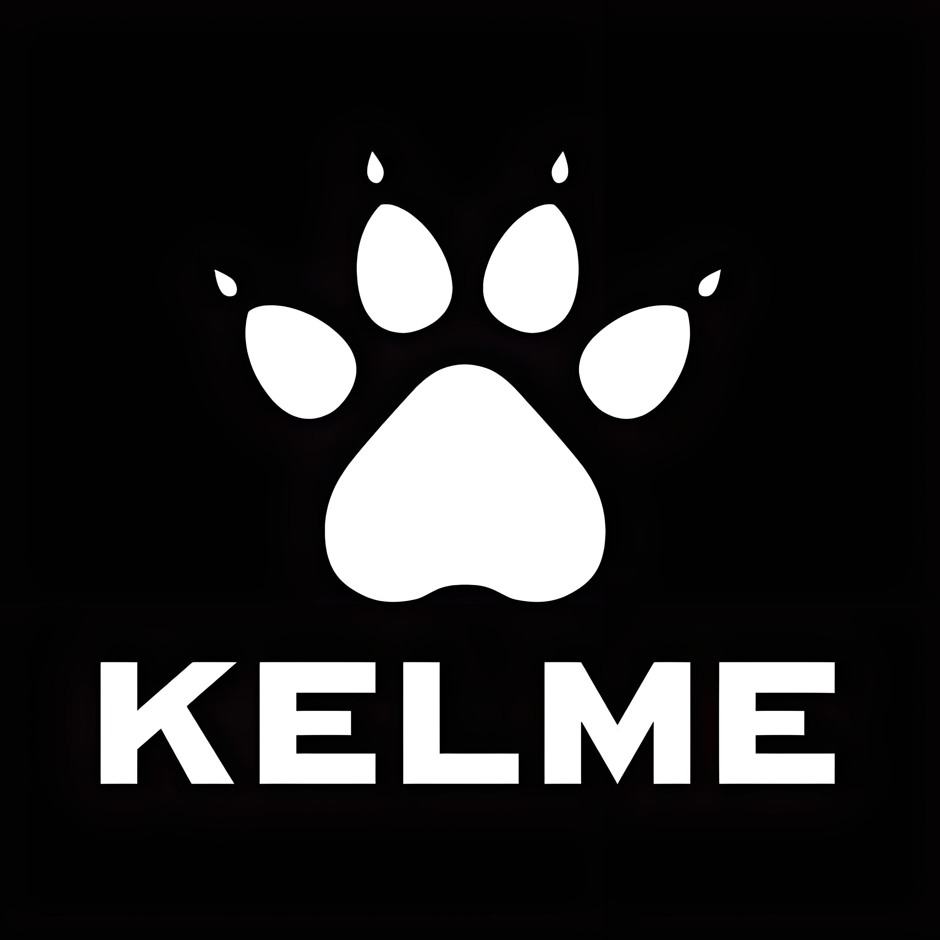 KELME卡尔美福建专卖店
