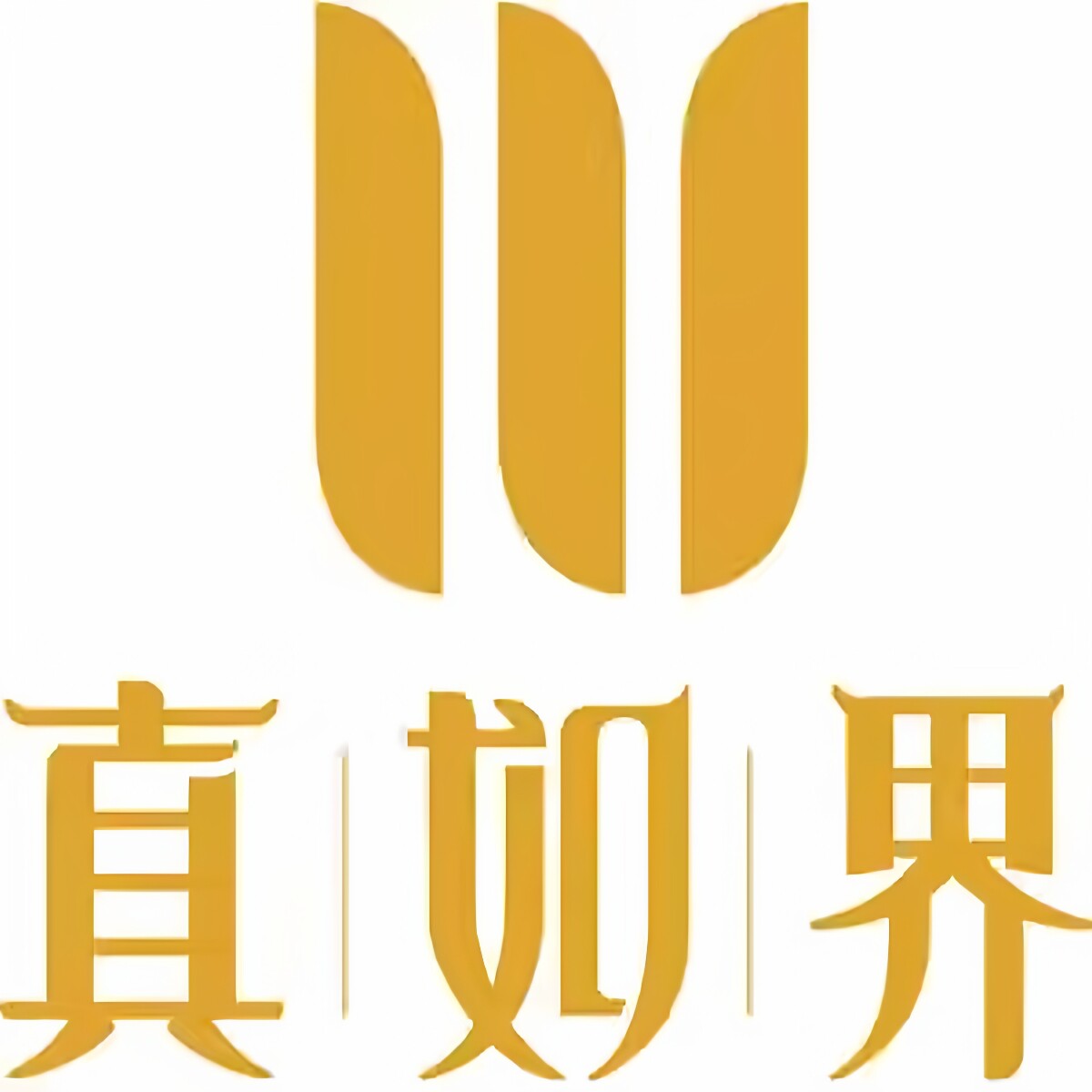 真如界正品鞋服企业店