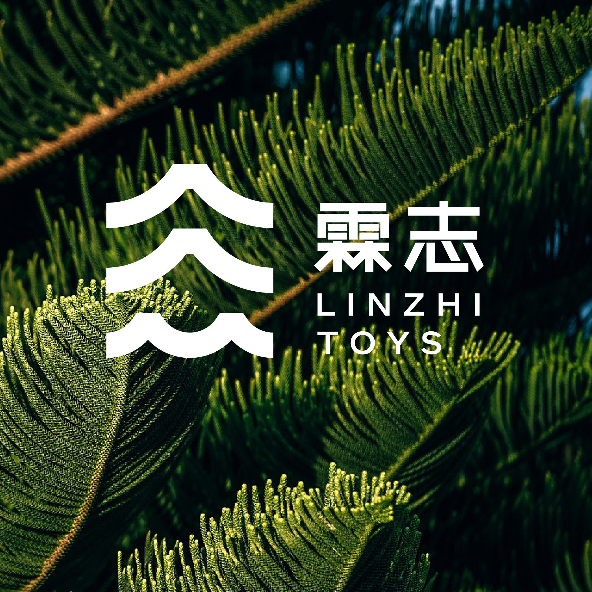 霖志玩具专营店
