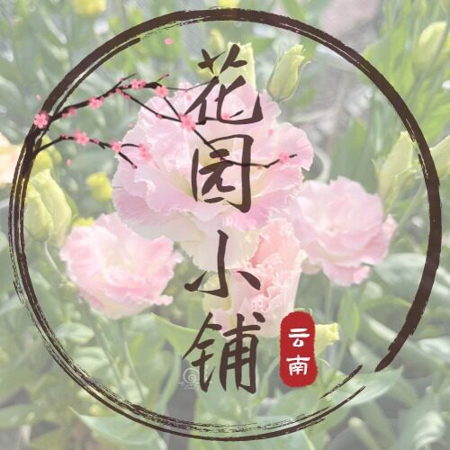 云南花园小铺花苗