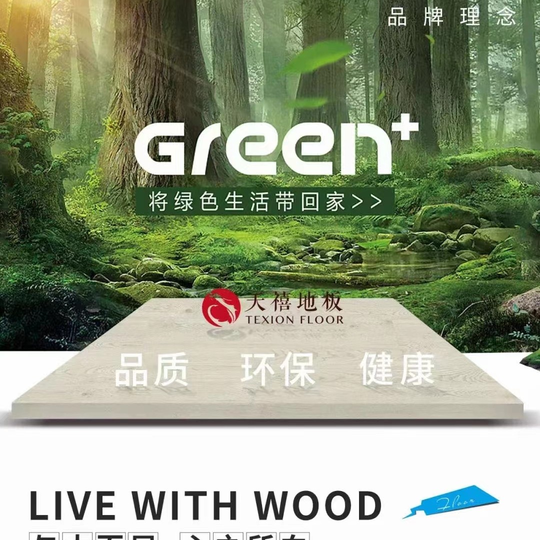 天禧木地板 店铺LOGO