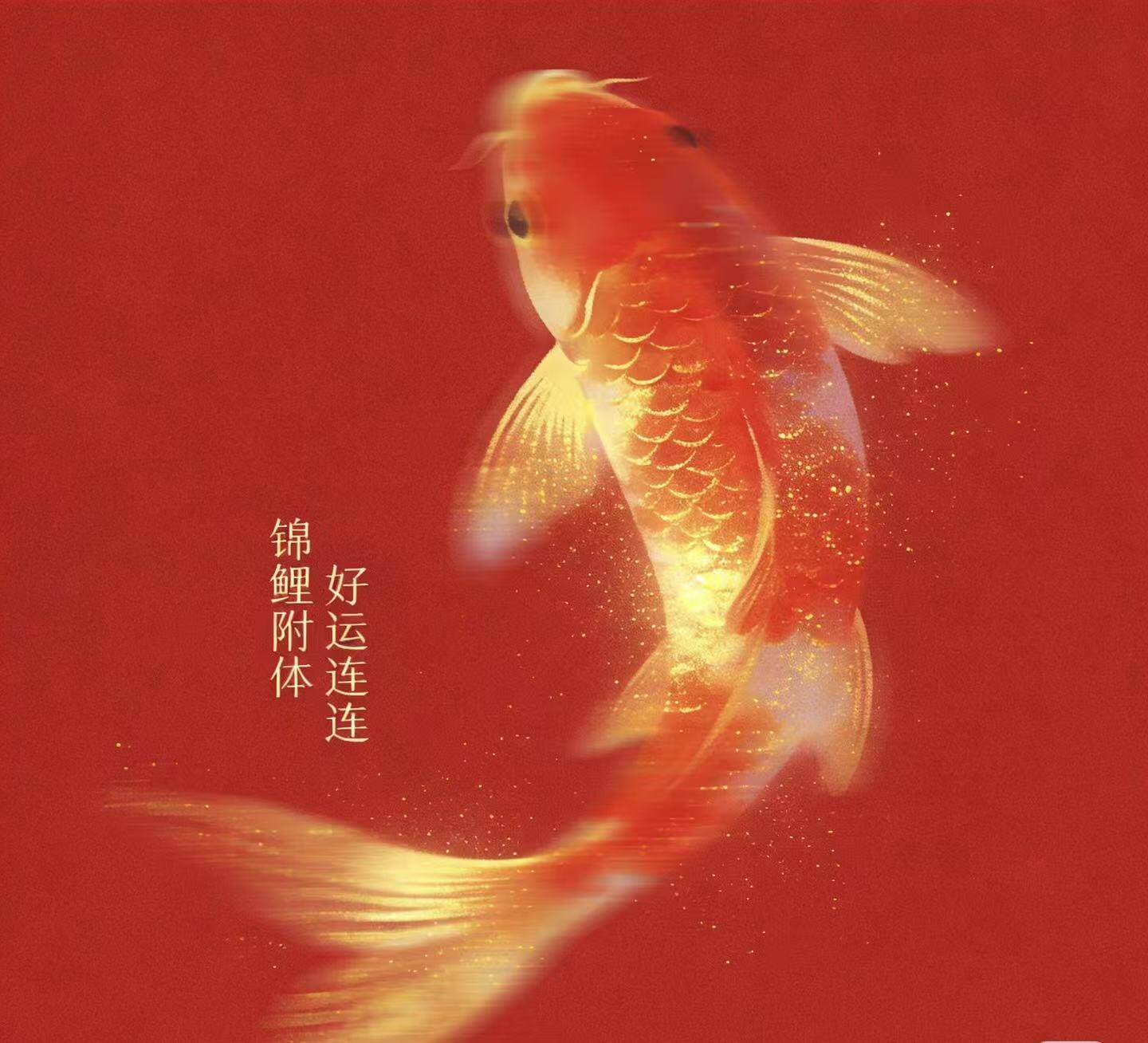 好运连连精选