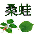 桑蛙旗舰店 店铺LOGO