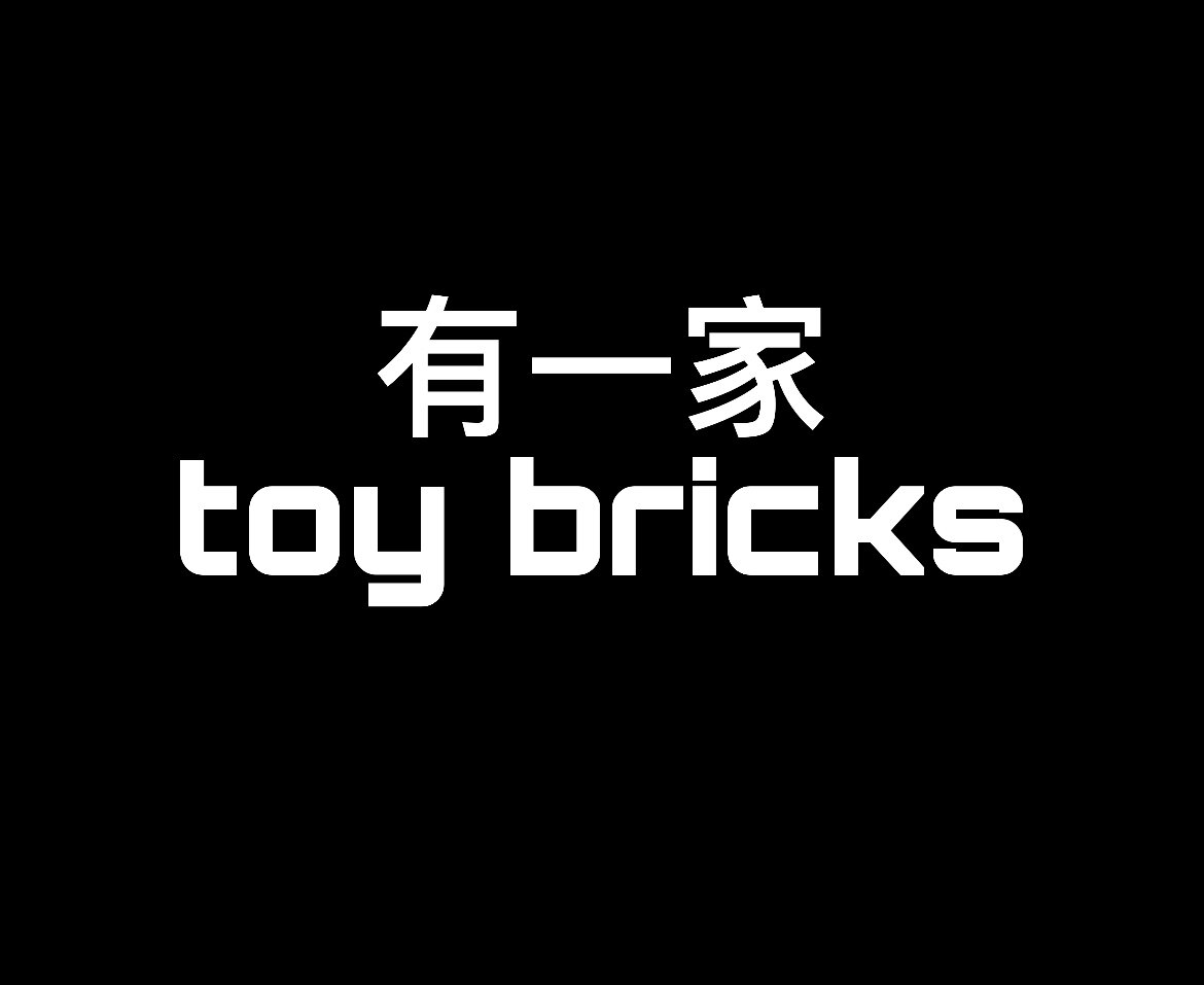 有一家卖积木的店