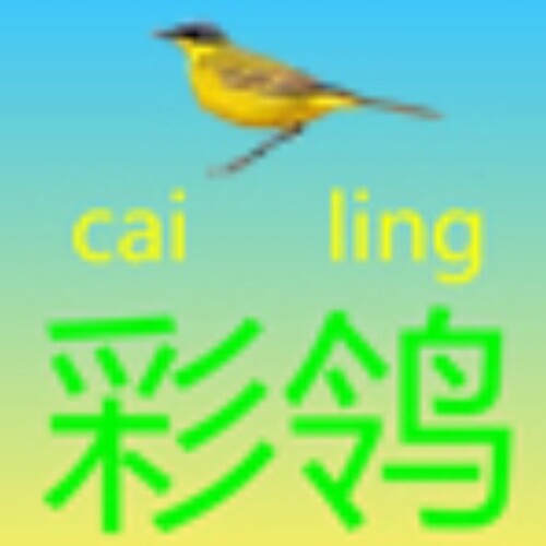 彩鸰企业店