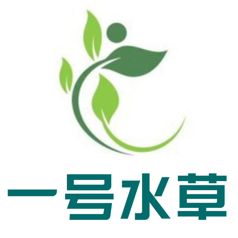 一号水草