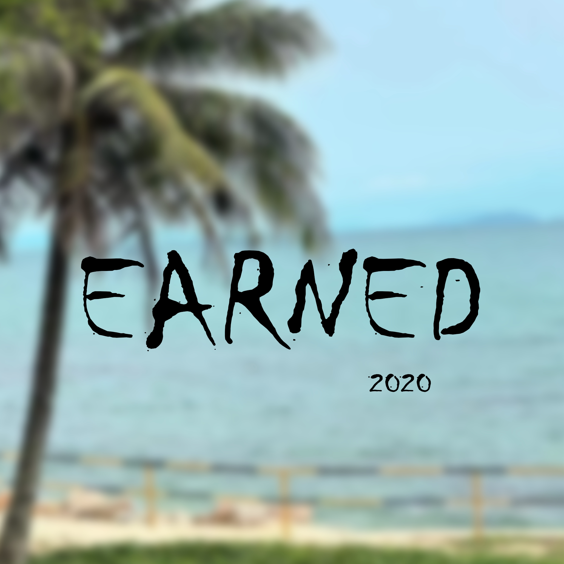 EARNED VALUE 店铺LOGO