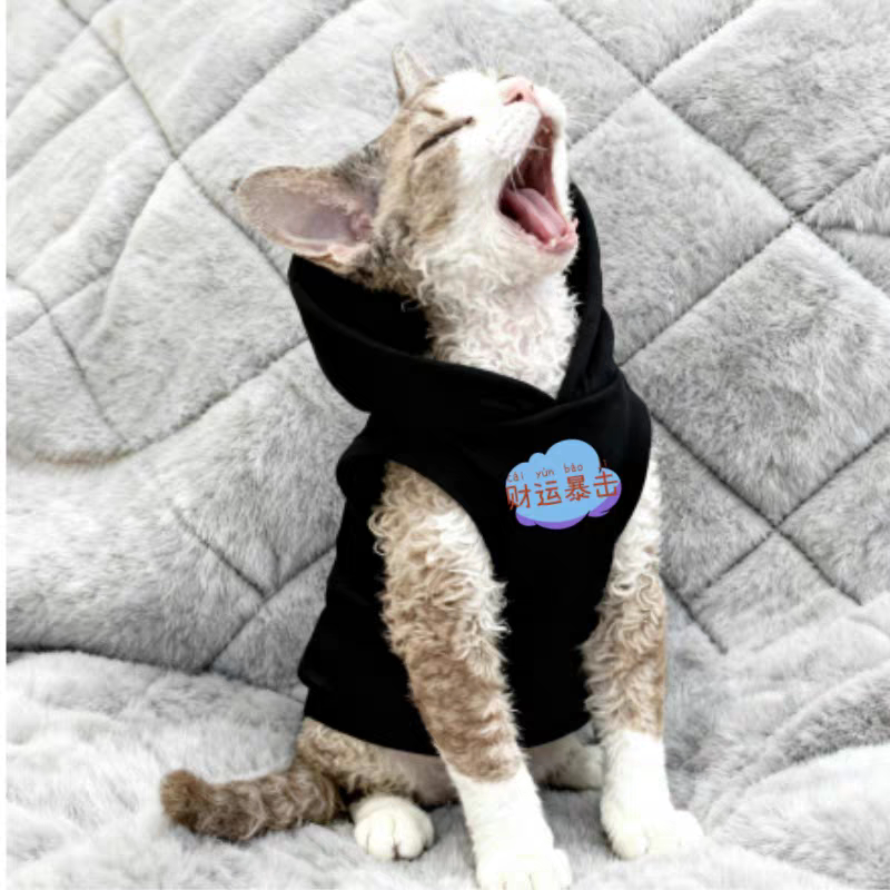 小猫 1 号柜子 店铺LOGO