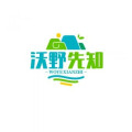 沃野先知