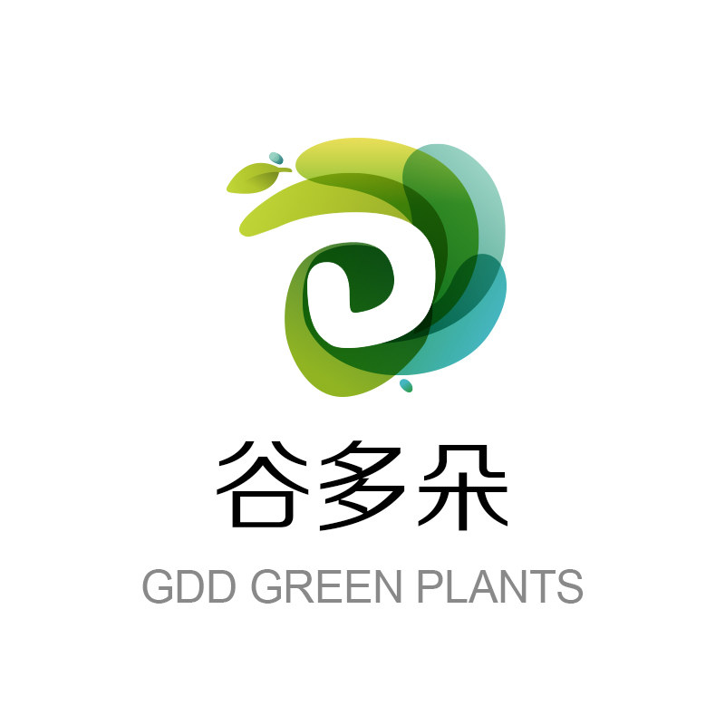 谷多朵旗舰店