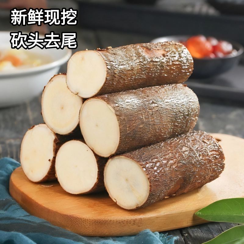 广西黄金木薯专业供应链