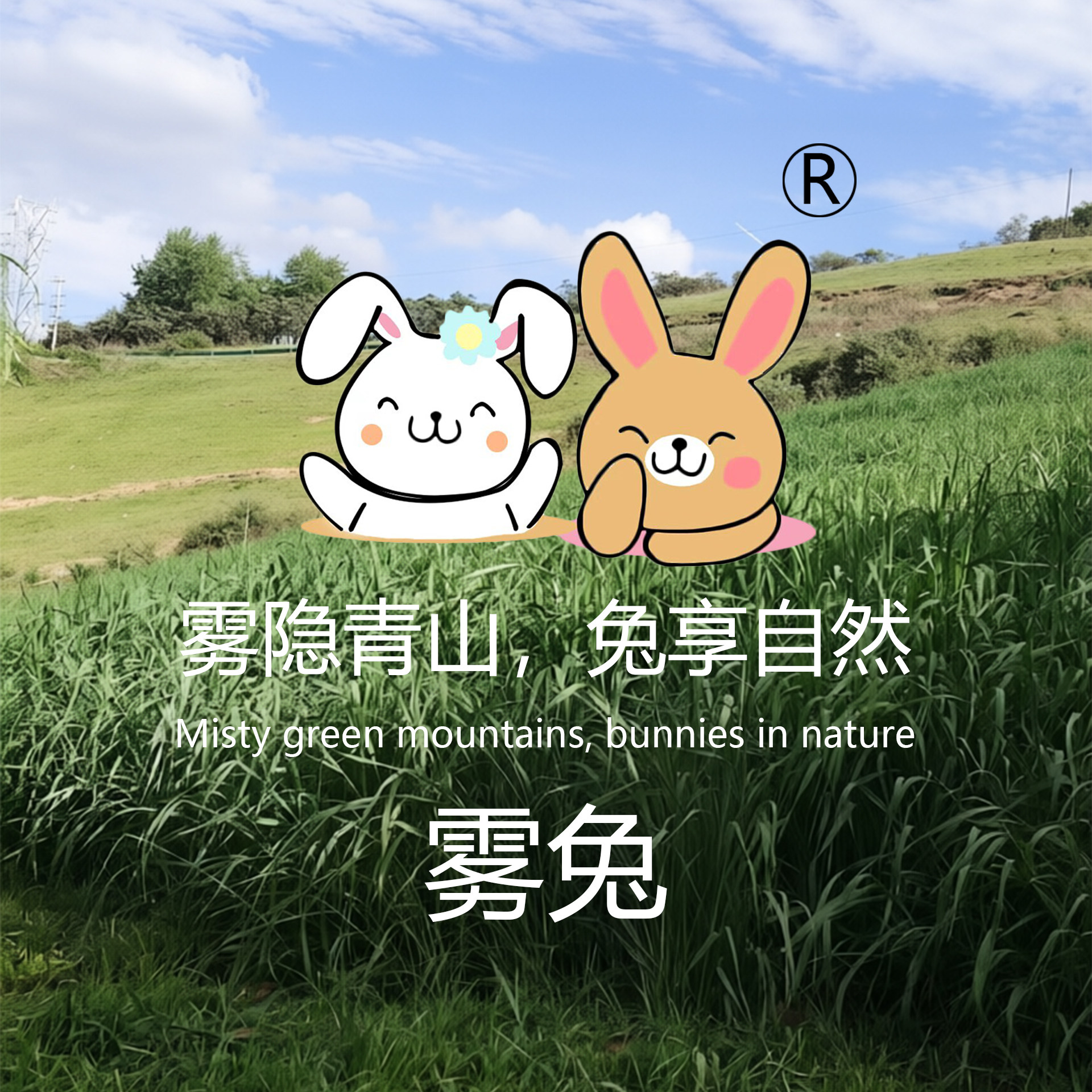 两只兔宠物用品店