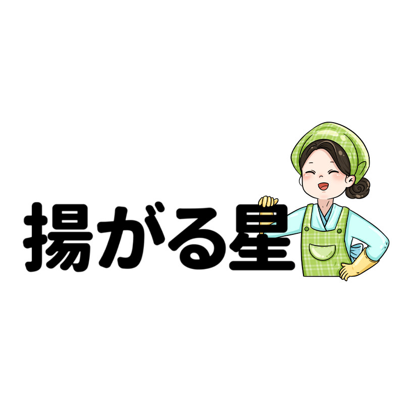 扬星旗舰店 店铺LOGO