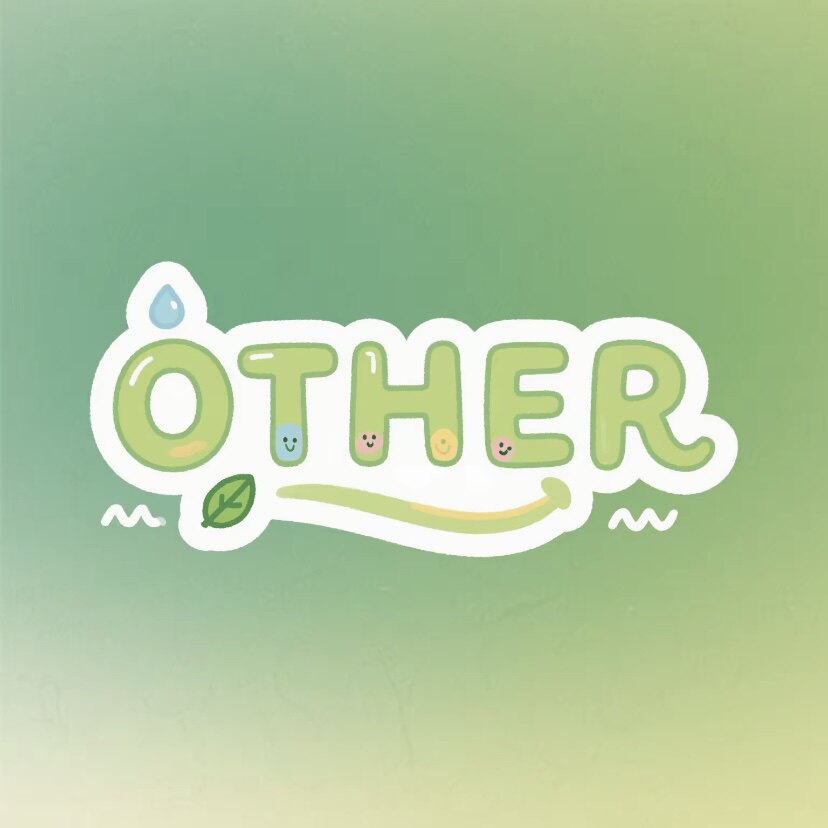 OTHER天淘店