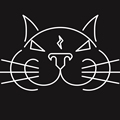 闪电猫穿刺DiscoKitten