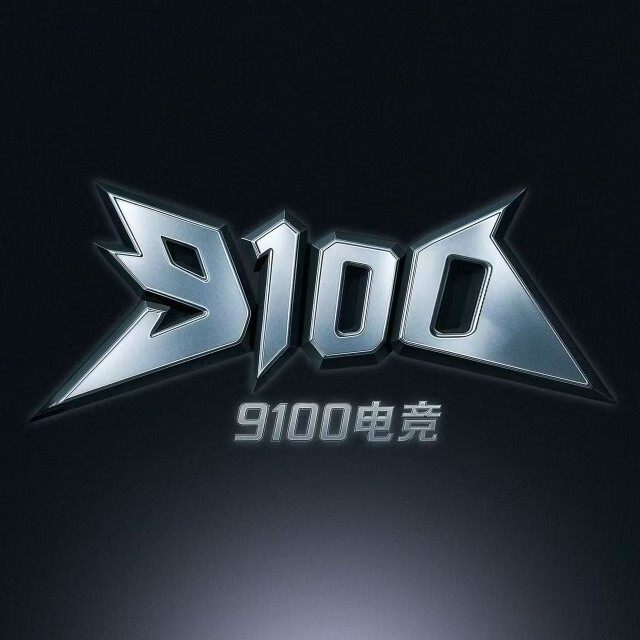 9100电竞护航