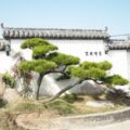 江苏苍碧茏园林绿化工程有限公司