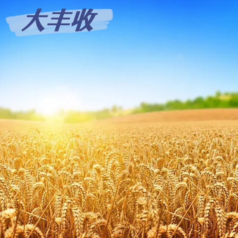 大丰收农资材料