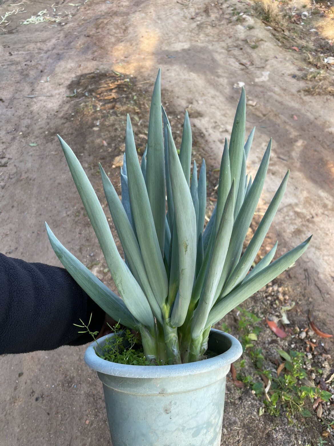 零點花驿小栈