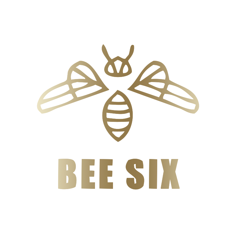 BEE SIX 高定轻奢女鞋