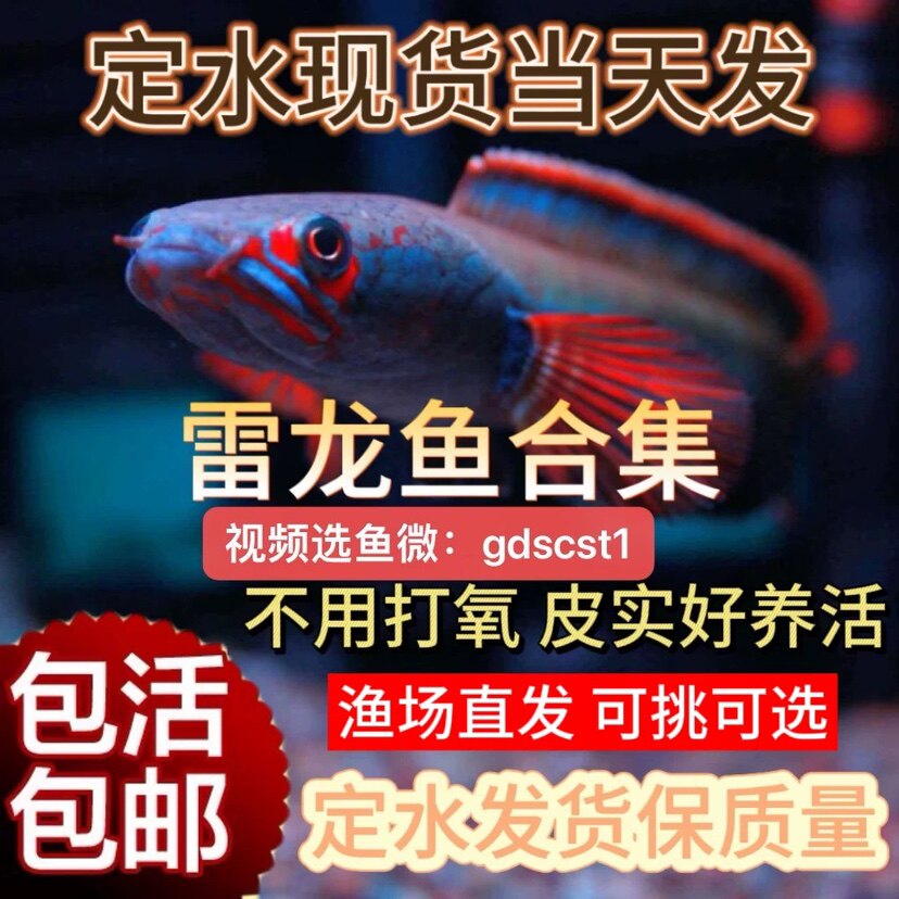 广东水宠生态世界