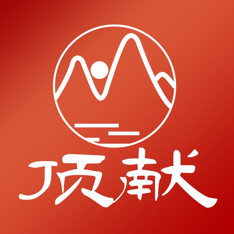 顶献旗舰店
