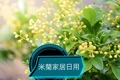 米灡臻品店