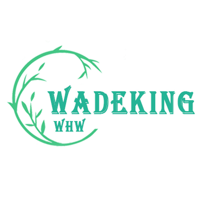 WADEKING 自由骑行