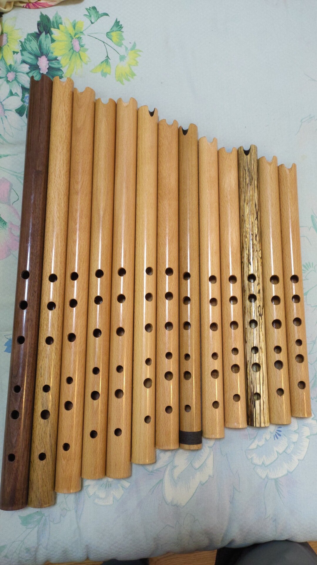 针叔盖那笛