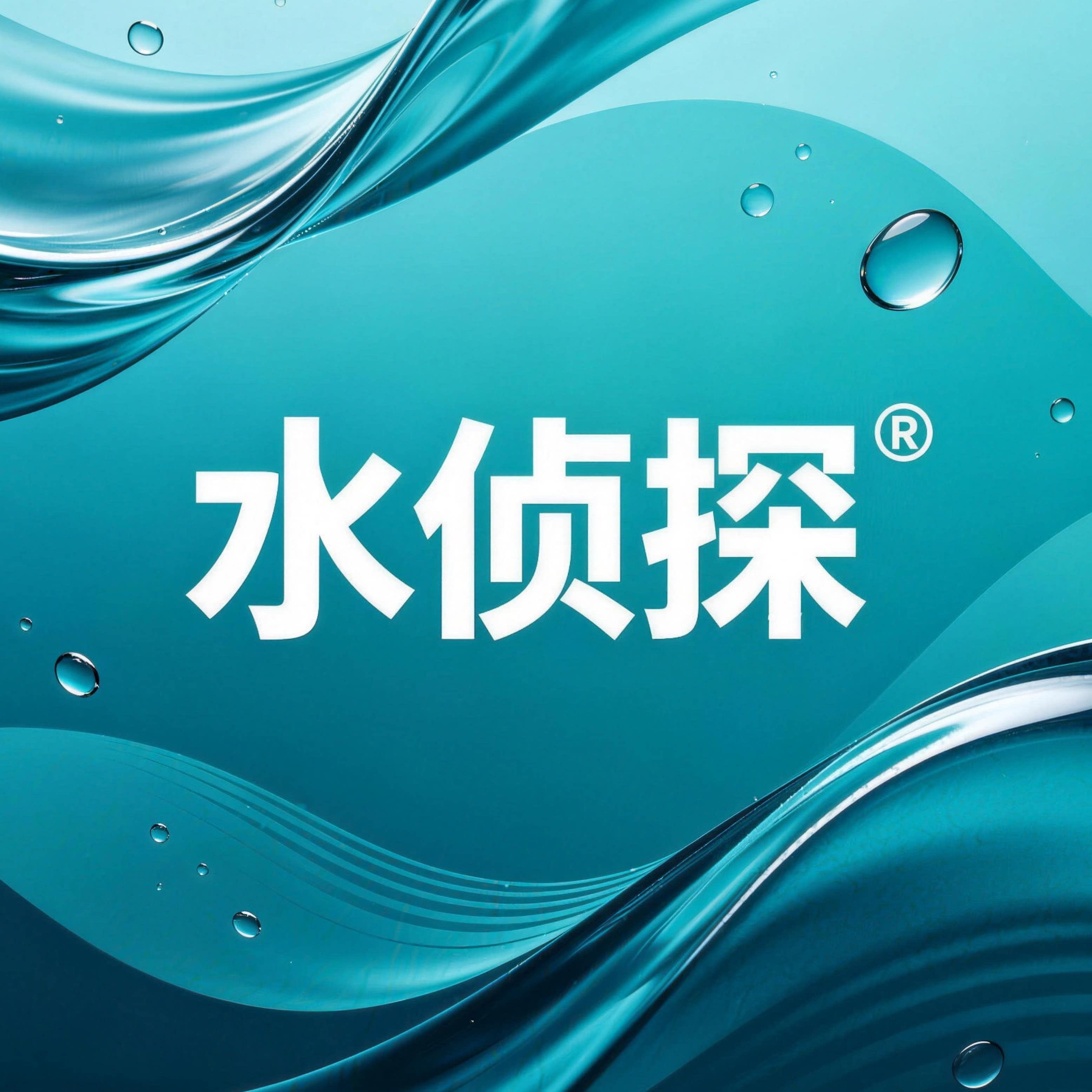 水侦探旗舰店