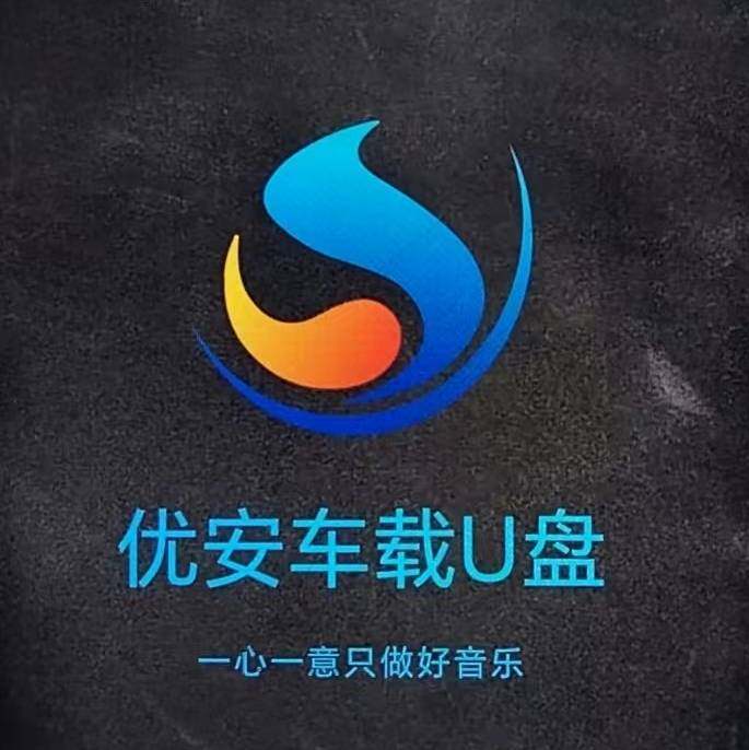 优安车载U盘
