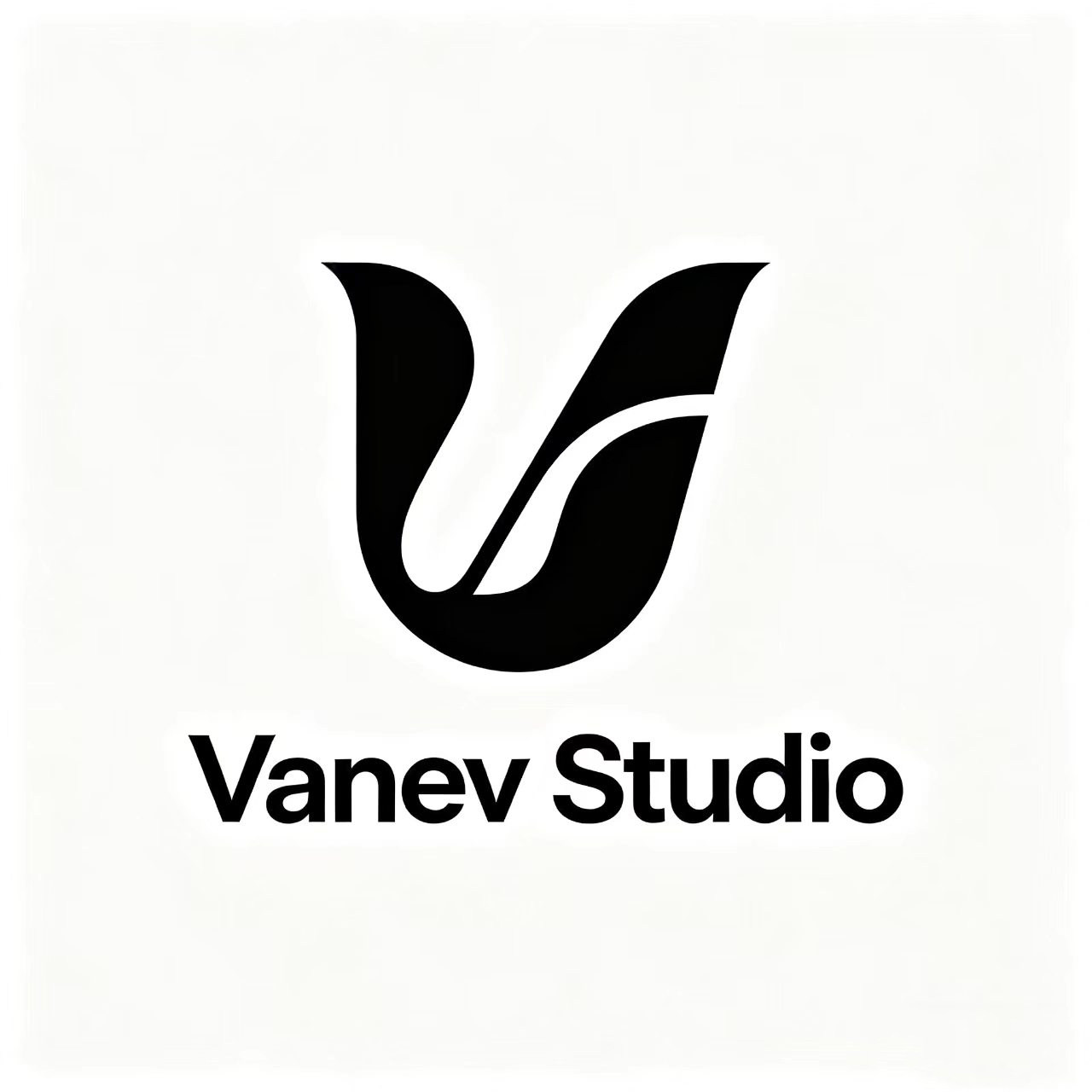 Vanev Studio