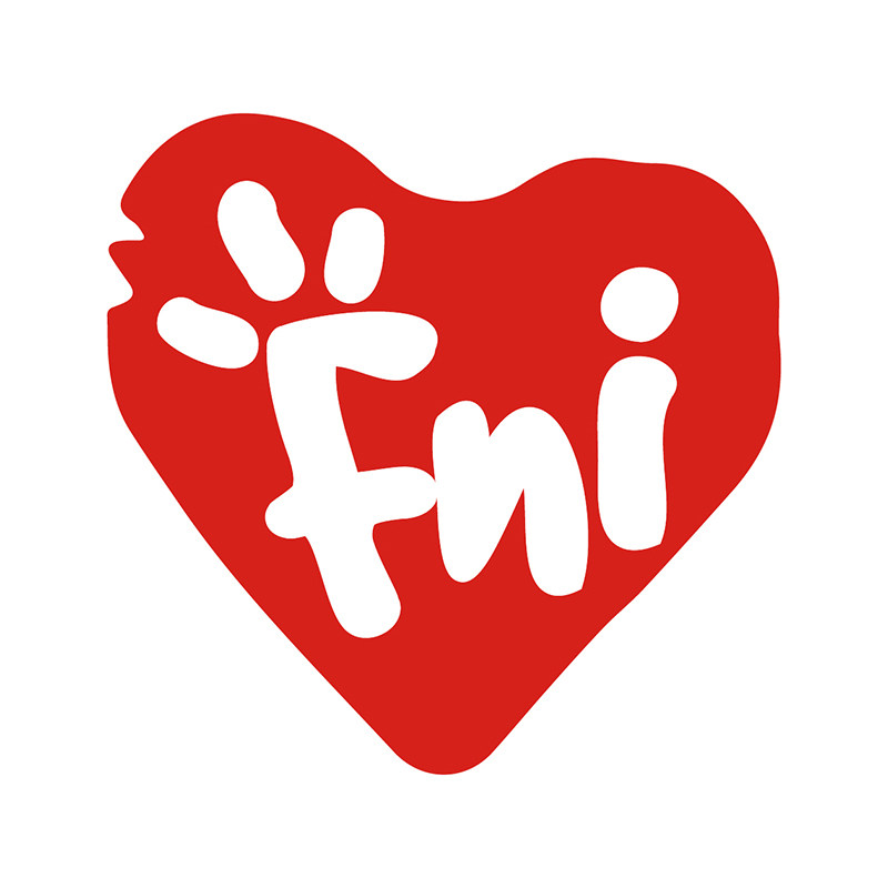 FNI 大赖 店铺LOGO
