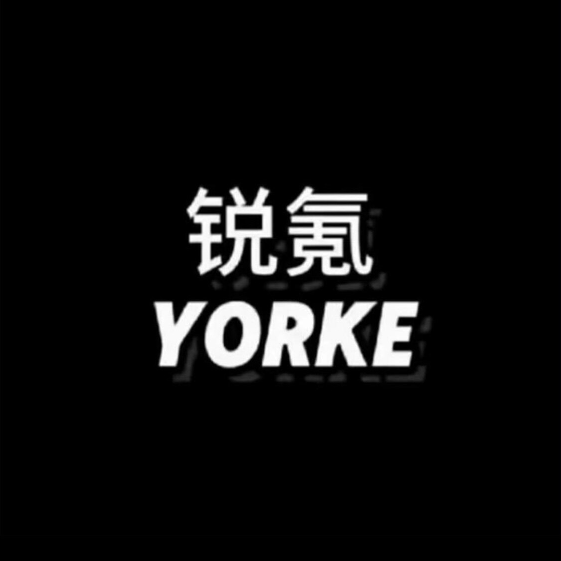 锐氪YORKE小店