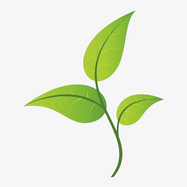 梦泓尧家居旗舰店