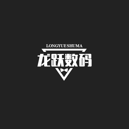 龙跃数码品牌店