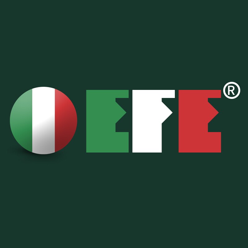 eternalfire旗舰店 店铺LOGO