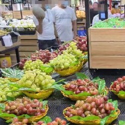 乘龙水果包装