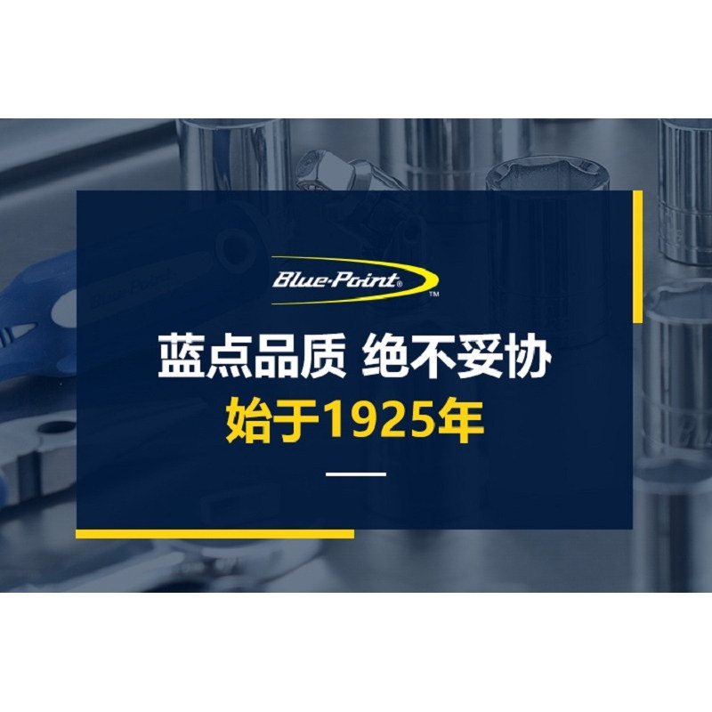 蓝色小点进口工具汽修设备企业店 店铺LOGO