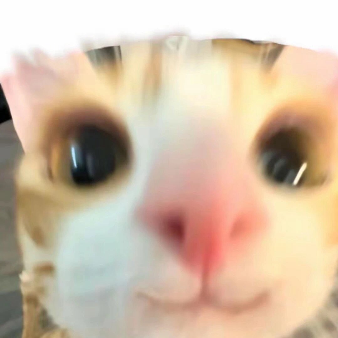 Aisha为你钟情女鞋店