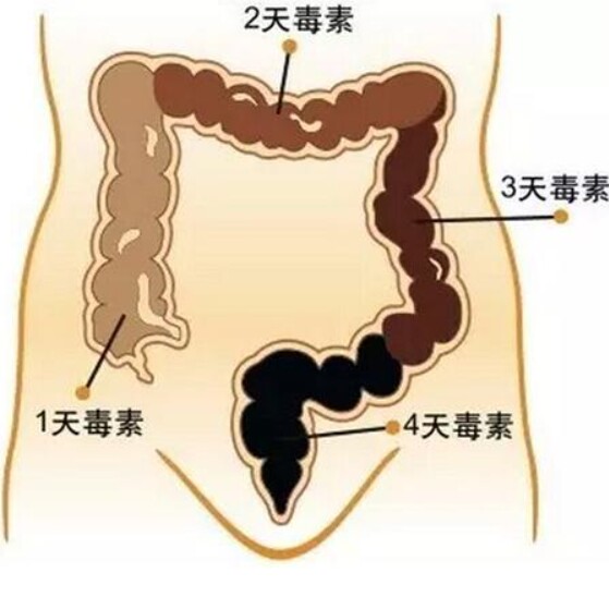 骆忠航肠道工作室