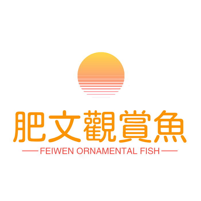 肥文水族店