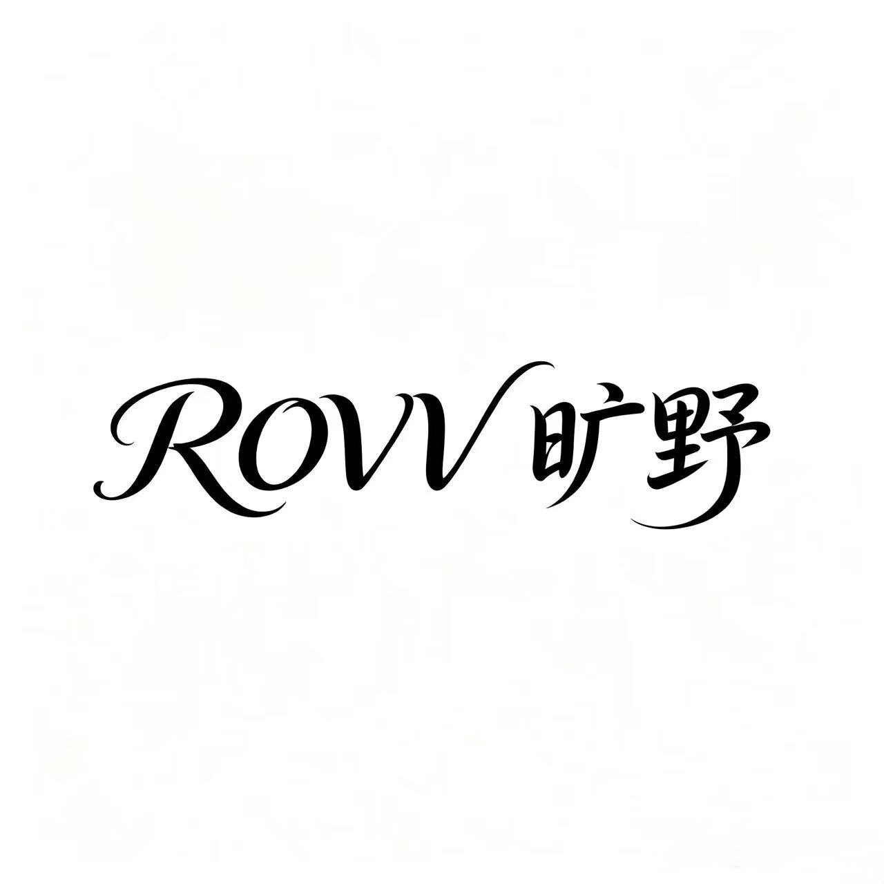 ROVV旷野 店铺LOGO