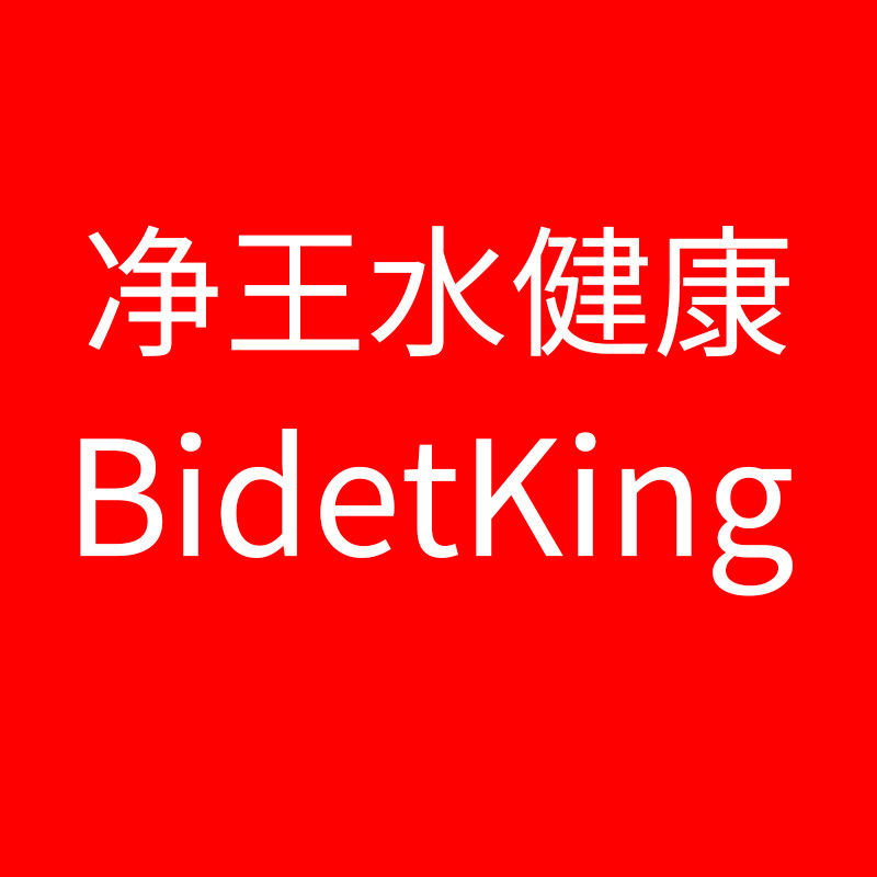 净王水健康BidetKing品牌店