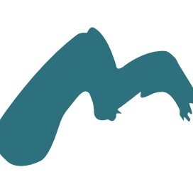 天目山臻选店 店铺LOGO