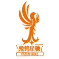 飞鸰星驰直售店